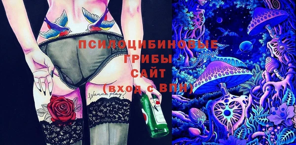 трава Бородино