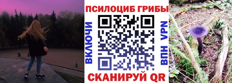 kraken ссылки  Дубна  Псилоцибиновые грибы мицелий 